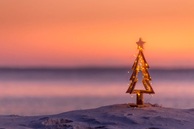 christmas tree on the beach