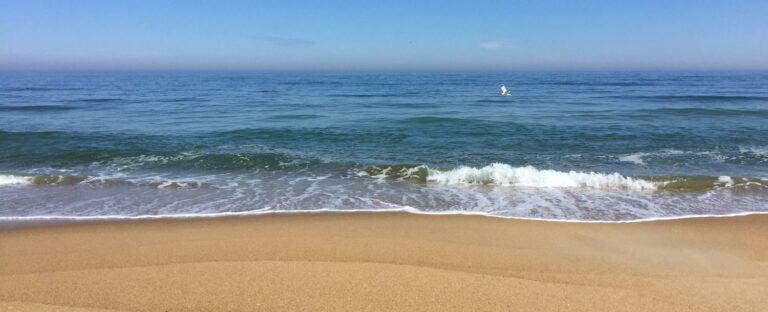 outer banks beaches